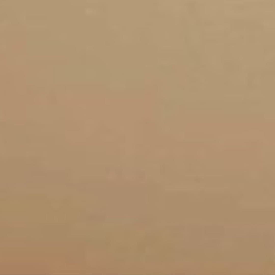 Oriental Grey Beige